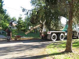 concrete pad 2010